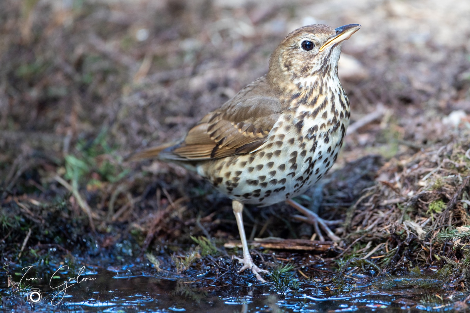 08 mei 2022 161552 1DX42464